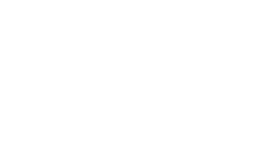 Strommer Logo