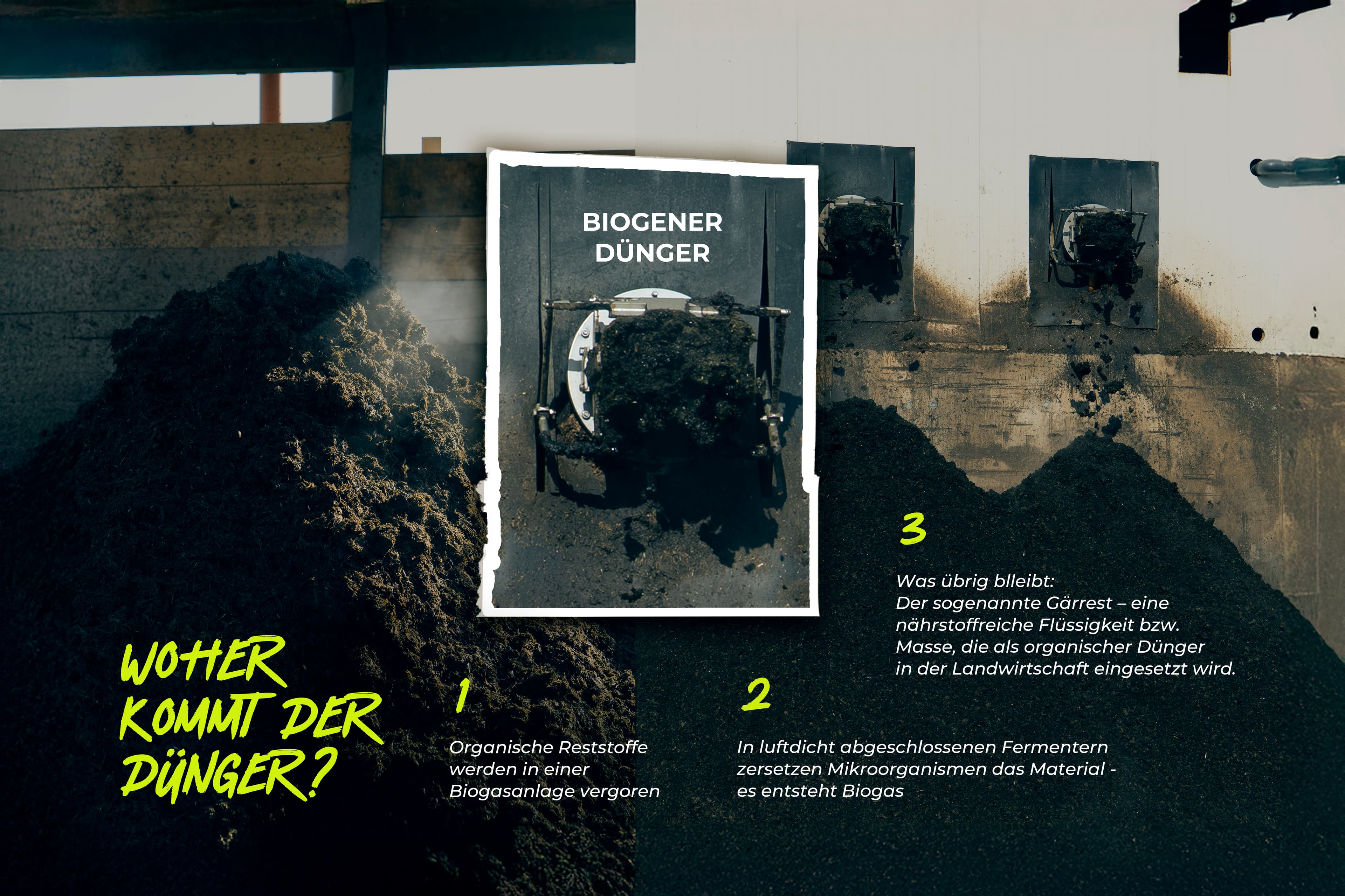 Visual Content Design for Social Media