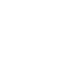 Nichtdeintyp